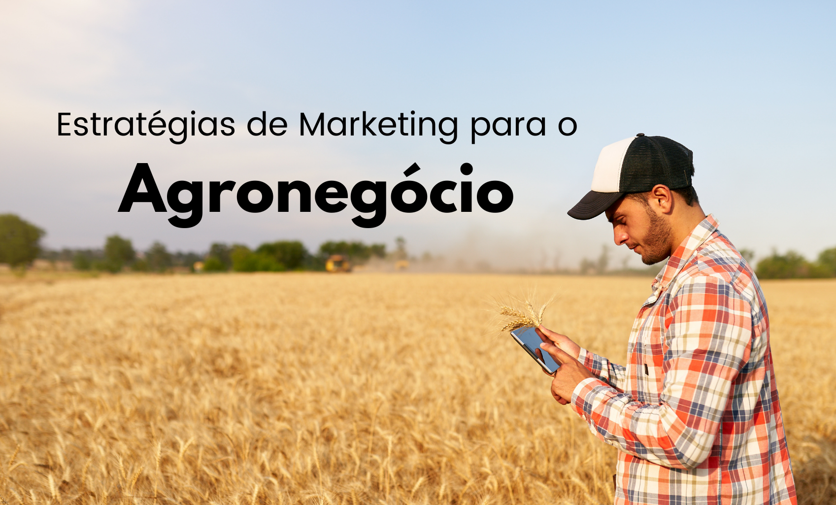 Estratégias de Marketing para o Agronegócio