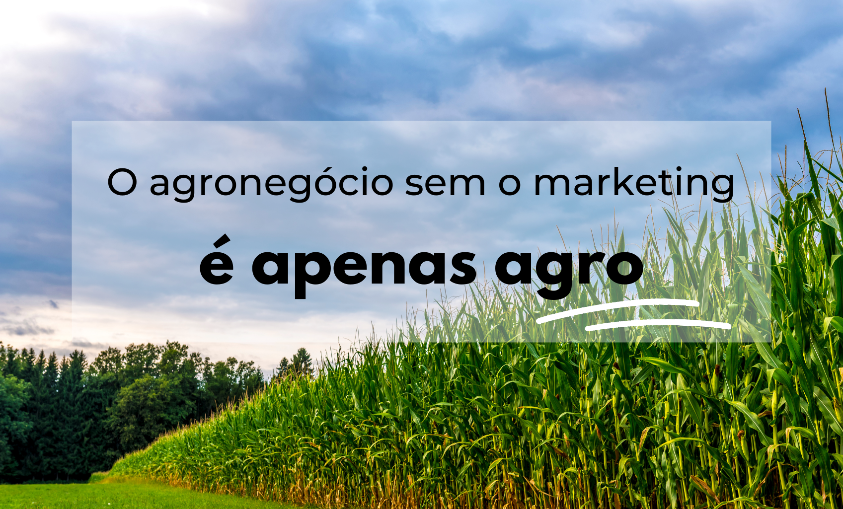 O agronegócio sem o marketing é apenas agro